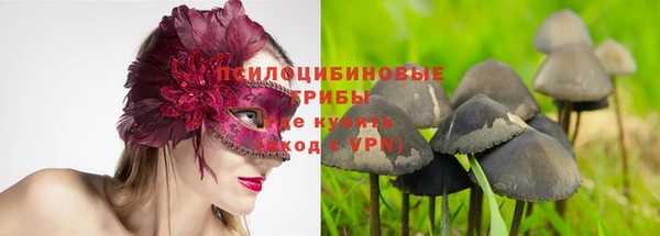 таблы Пролетарск