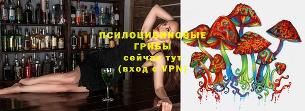 СК Россошь