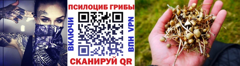 Купить закладки  Семилуки  Псилоцибиновые грибы Magic Shrooms 